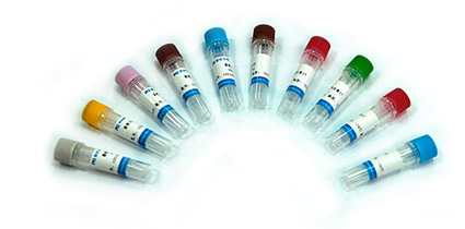Recombinant Murine TNF-α Recombinant Murine TNF-α